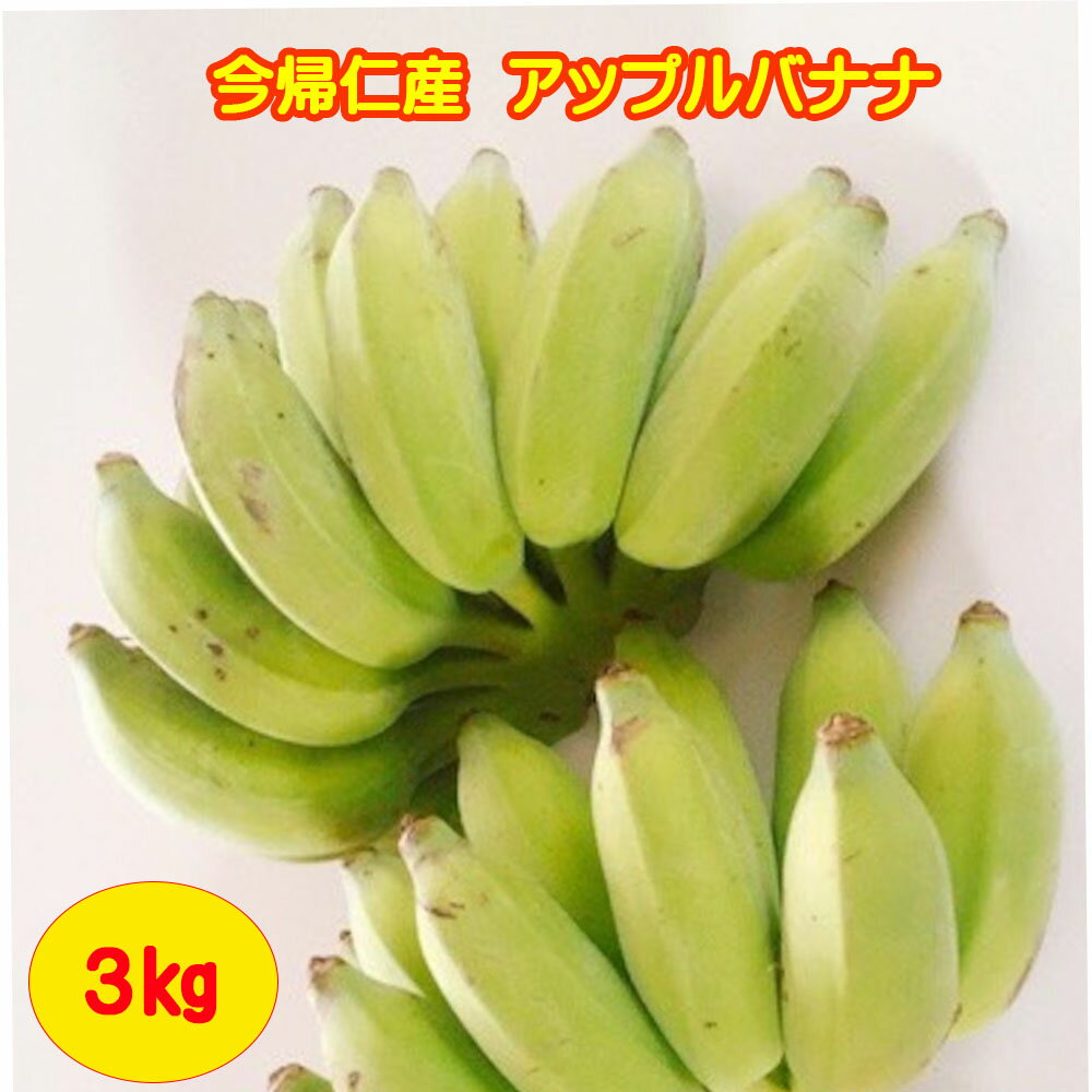 【ふるさと納税】今帰仁村産アップルバナナ（農薬不使用）3kg