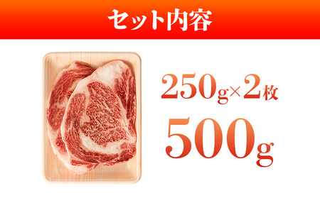 博多和牛サーロインステーキセット　500g（250g×2枚） お取り寄せグルメ お取り寄せ 福岡 お土産 九州 福岡土産 取り寄せ グルメ 福岡県