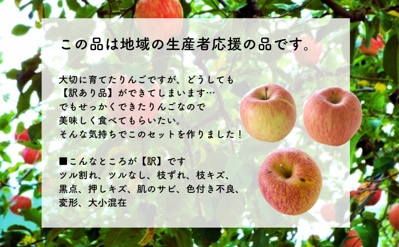 MS17 りんご サンふじ（長野県産訳あり品） 約5kg / 2027年1月上旬～2月上旬頃 配送予定