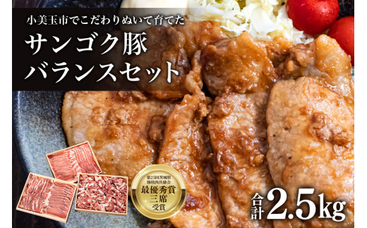 サンゴク豚（バランスセット） 合計2.5kg しゃぶしゃぶ 焼き肉  豚肉 豚バラ肉 ロース 小分け 真空パック  しゃぶしゃぶ肉 焼肉用 ブタ肉 国産 茨城県産 ギフト プレゼント 高級部位 2-B