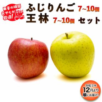 田舎の頑固おやじが厳選！ふじりんごと王林セット【令和3年12月から順次お届け】