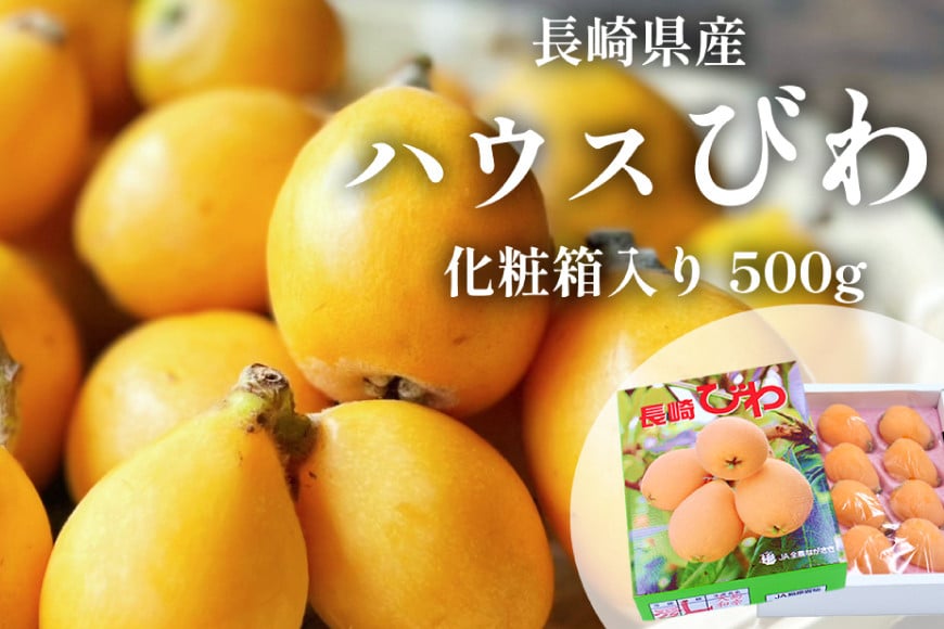 BH093 【期間限定発送】長崎県産 ハウスびわ 約500g 化粧箱入り [ フルーツ 果物 くだもの びわ ビワ 枇杷 数量限定 季節限定 初夏 長崎県 島原市 ]