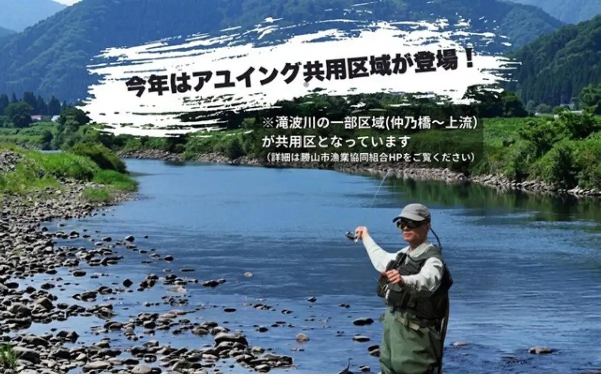 【ふるさと納税】【2026年分】九頭竜川（勝山市漁協）鮎友釣り年券 1名様分　魚 魚介 鮎 アユ 釣り 体験 チケット※2026年6月27日解禁日！ [D-001004]