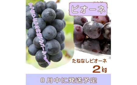 定期便【全3回/6・7・8月】夏をお届け！フルーツ定期便！小玉すいか・桃・ピオーネ / フルーツ 果物 すいか ひとりじめ7 もも モモ ぶどう ブドウ  旬 定期便  【tkb345】
