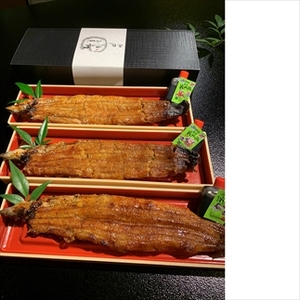 うなぎ辻判 国産鰻炭火蒲焼き 3尾 各約160g 〈有頭・冷凍〉 うなぎ 鰻