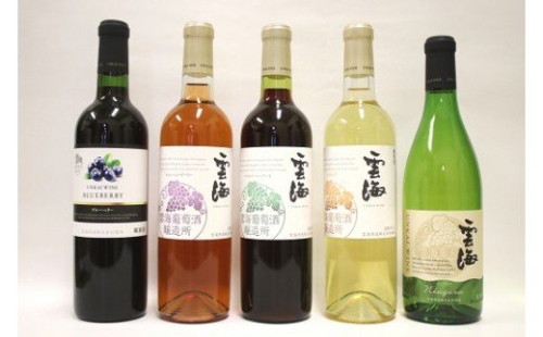 雲海ワインセット5種　国産100％　赤　白　飲み比べ