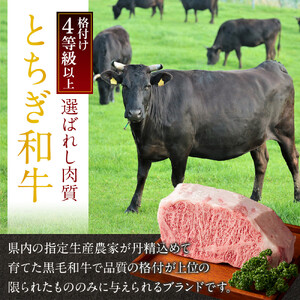とちぎ和牛100% ハンバーグ 150g×3個セット ｜ 牛肉 和牛 100% 肉 ブランド牛 高級 ハンバーグ 栃木県共通返礼品