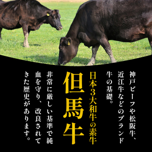 但馬牛使用 合挽 自家製ハンバーグ  デミグラスソース付き 180g×10個 小分け 加熱前 未加熱 おいしいハンバーグ　グルメハンバーグ 高級ハンバーグ ハンバーグ 小分け 冷凍 肉 ギフト 大容量