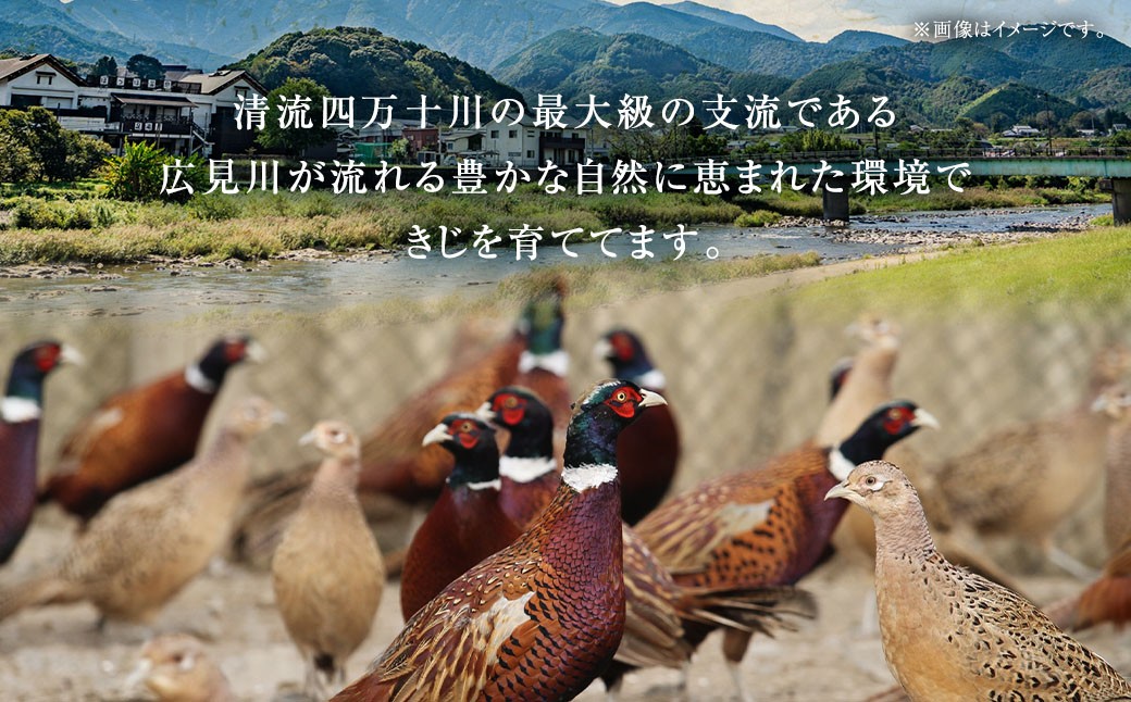 デラックスきじ鍋セット  4～5人前