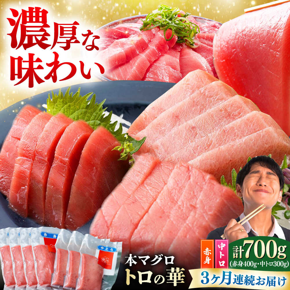 【ふるさと納税】【全3回定期便】対馬産 本マグロ 700g（赤身400g、中トロ300g） ≪対馬市≫【桐谷商店】 トロの華 対馬 新鮮 マグロ トロ 鮪 刺身 鮮度抜群[WAQ048]