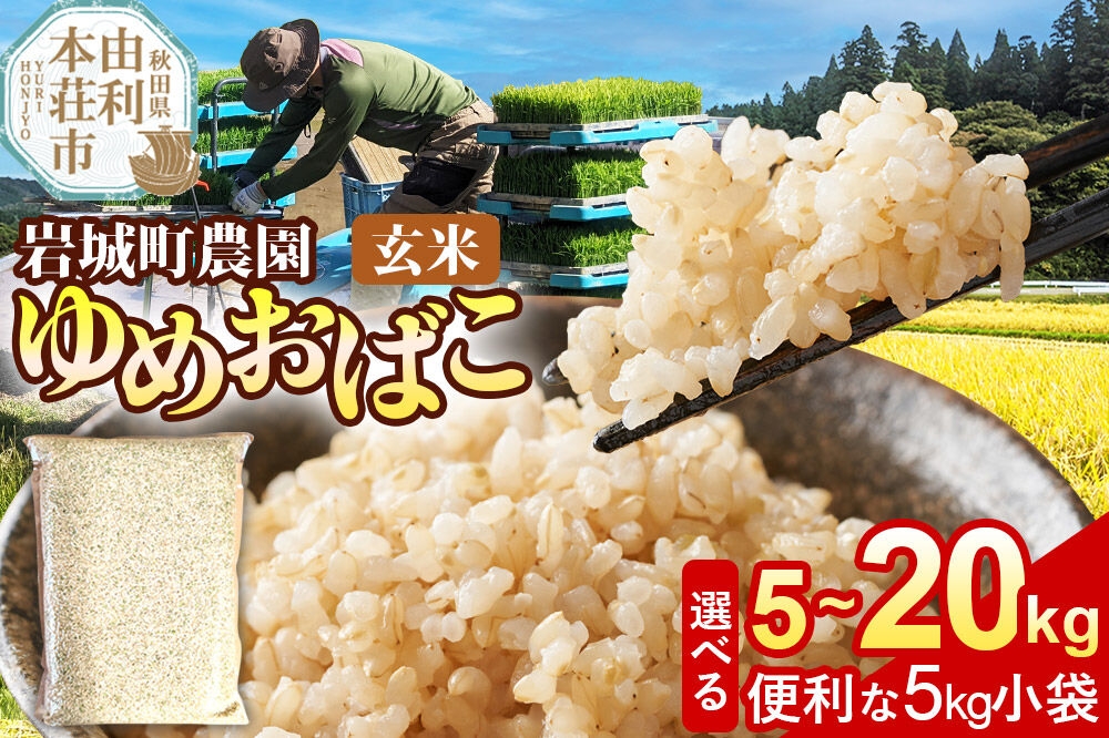 
                  【玄米】ゆめおばこ 秋田県産 岩城町農園のゆめおばこ 令和7年産【選べる容量：5kg（5kg×1袋）／10kg（5kg×2袋）／15kg（5kg×3袋）／20kg（5kg×4袋）】ゆめおばこ 真空パック 岩城町農園 [ゆめおばこ 米 お米 こめ 玄米 食卓 ご飯 ごはん おにぎり 秋田県 由利本荘市]
                