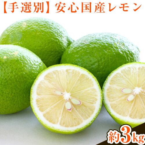 【ふるさと納税】【手選別・産直】紀の川市産の安心国産レモン 約3kg 柑橘《9月・10月出荷》 紀の川市厳選館 和歌山県 紀の川市 フルーツ 果物
