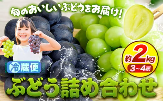 ぶどう 詰め合わせ 約2kg(3~4房)  青空市きらり 岡山県 矢掛町 葡萄 果物 スイーツ フルーツ デザート シャインマスカット 旬《9月上旬-11月上旬頃出荷》