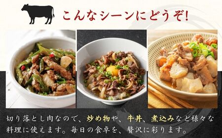 豊後牛切り落とし800g 和牛生ハム1P付|牛肉切り落とし