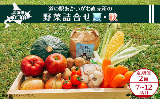 
【定期配送】道の駅あかいがわ直売所の野菜詰合せ（夏８月・秋９月：計２回）
