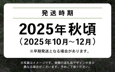 【先行予約】DVERG 折り畳み式コット（ブラック）1台 ハイタイプ 収納袋付き 【2025年11～12月頃より順次発送予定】【キャンプ アウトドア 椅子 グランピング おしゃれ スタイリッシュ 折り