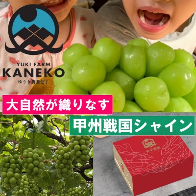 
                  2027年発送先行受付【山梨の大自然×本場山梨の匠】山梨が織りなす甲州戦国シャインマスカット9月下旬【1497110】
                