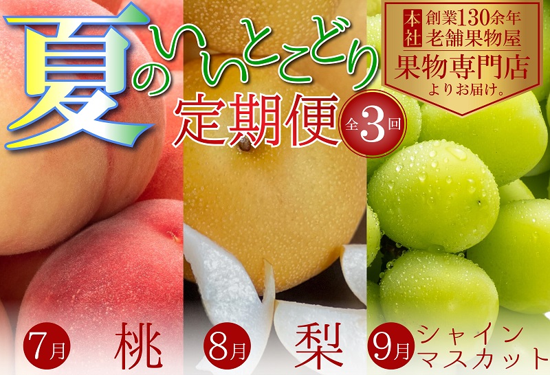夏のいいとこどり定期便【全3回】 果物 フルーツ デザート 