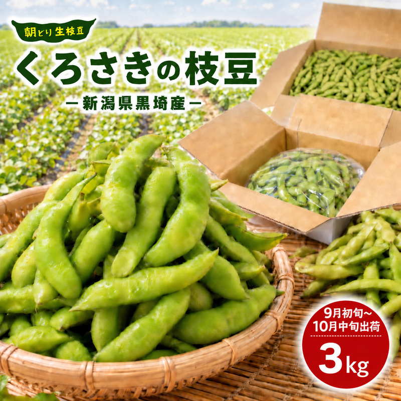 くろさきの枝豆 3kg  【9月初旬～10月中旬配送】 新潟県黒埼産 朝どり生枝豆
