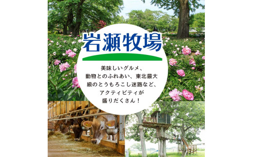【2月発送】大割サイズ！福島県産「乾燥薪」200kg F6Q-277