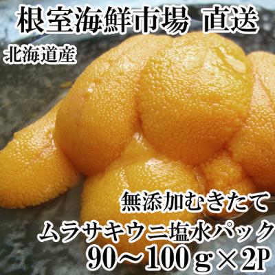 ふるさと納税 根室市 無添加むきたてムラサキウニ塩水パック90〜100g×2P[5月初旬以降発送] B-28111