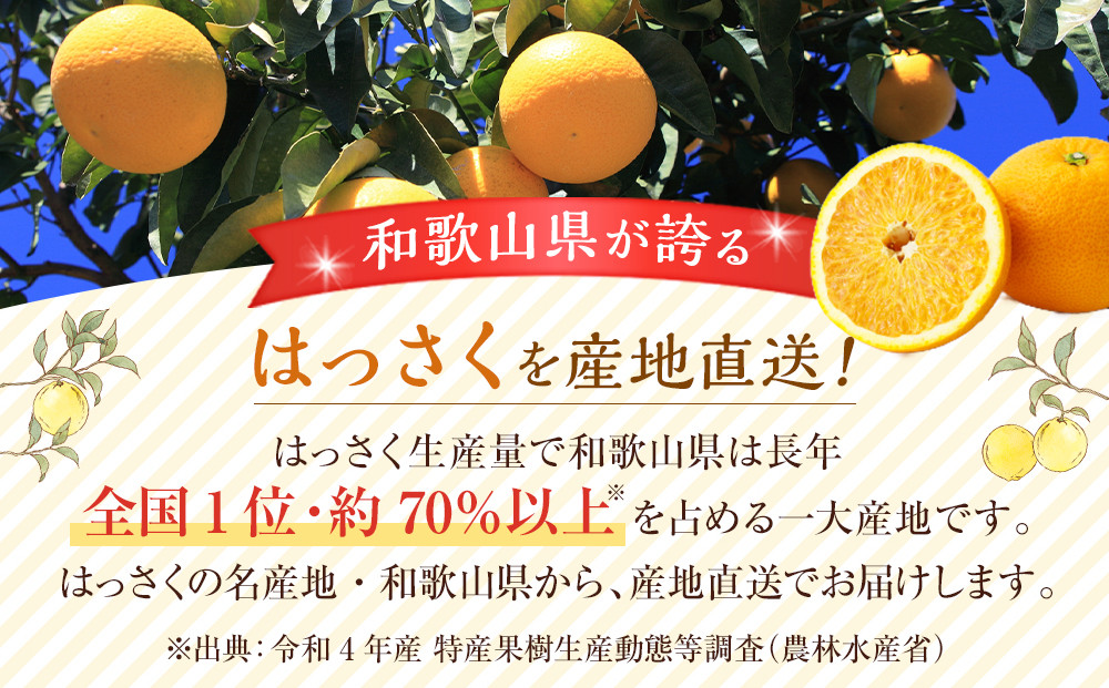 訳あり八朔  約10kg（箱込み） 和歌山県産
