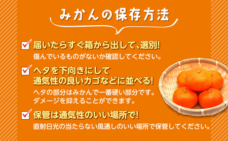 訳あり みかん 黄金柑 3kg 西浦 蜜柑 柑橘 オレンジ 減農薬 木負観光みかん園 （ 訳ありみかん みかん訳あり 訳あり品 黄金柑訳あり 減農薬みかん 木負観光みかん園 FN-SupportPro