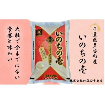 ふるさと納税 多古町 【令和7年産】多古町産いのちの壱 精米5kg