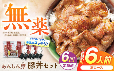 【6回定期便】豚丼セット(肩ロース120g×2人前) ×3 豚肉 白川町 / 藤井ファーム[AWAF014]