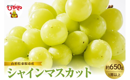 【2026年産　先行予約】山形県東根市産　シャインマスカット　約650ｇ　hi074-015