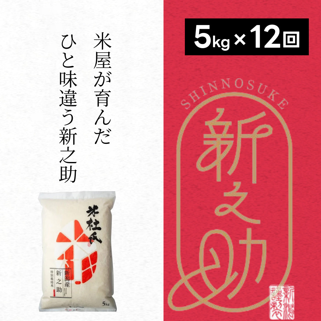 
             【12ヶ月定期便】 特別栽培米 新之助 5kg (5kg×1袋)×12回 米杜氏 壱成 白米 精米 大粒 つや 光沢 弾力 芳醇 1H50145
          