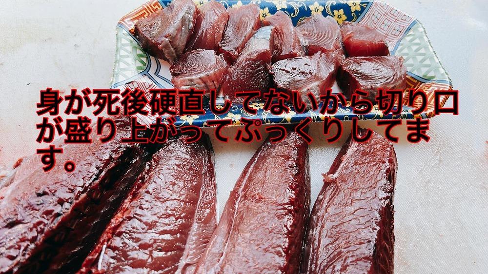 もちもち食感ビリかつお刺身300g