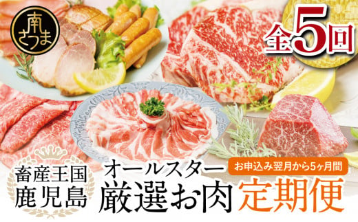 【お試し版】オールスター厳選お肉定期便（全5回） 牛肉 豚肉 すき焼き しゃぶしゃぶ 赤身 焼肉 冷凍 定期便 鹿児島 南さつま市