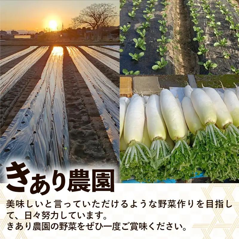 にんにく 1kg - 2026年度 幸手市産 採れたて ニンニク ガーリック きあり農園