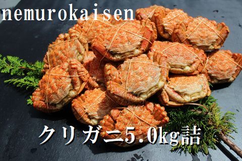 【北海道根室産】クリガニ200～250g×20～25尾(計5.0kg) D-57031