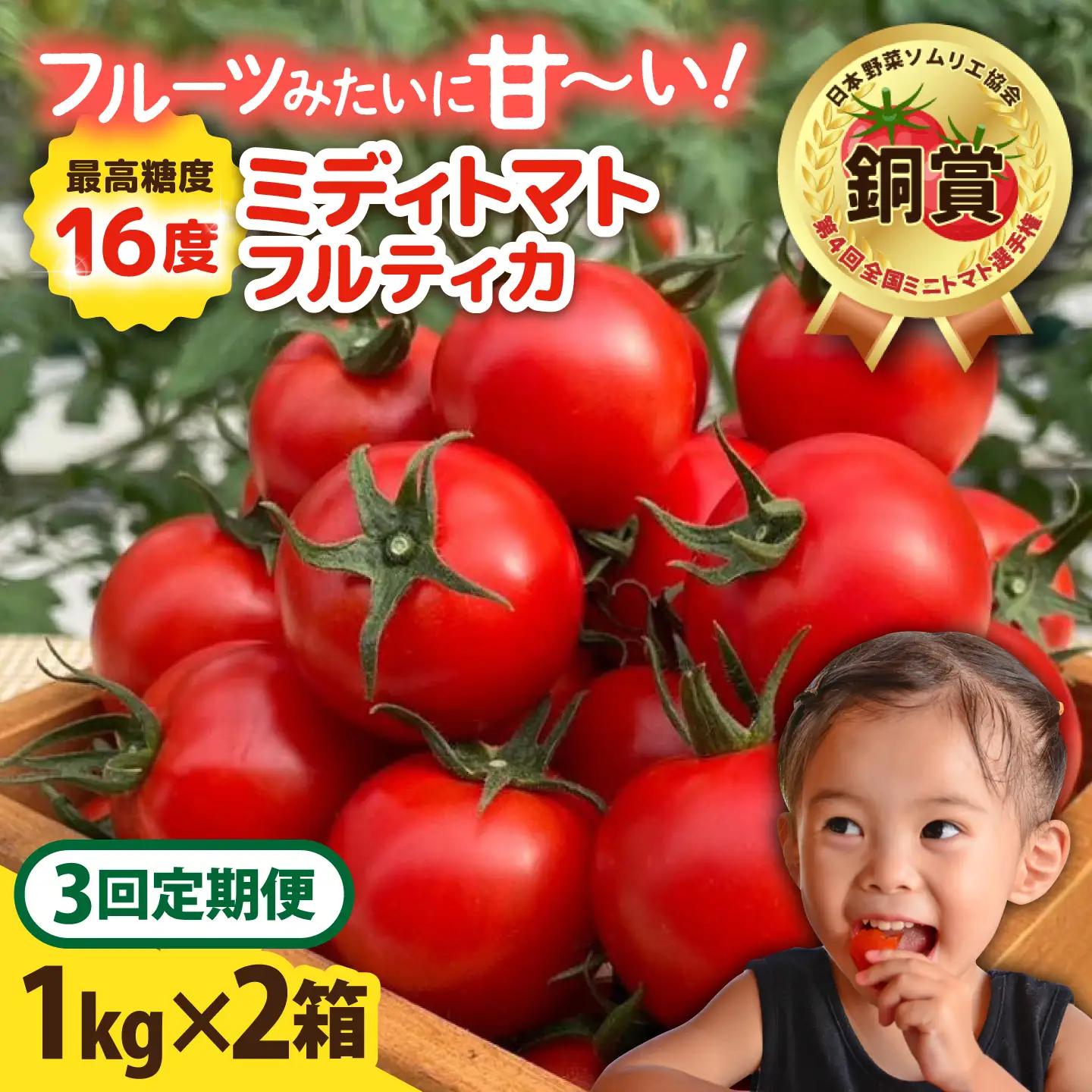 【先行予約】【全3回定期便】 フルティカ 2kg (1kg×2箱)  糸島市 / かわぞえ農園 【2026年11月以降順次発送】[AAM012]