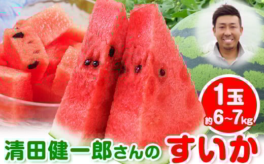 『清田健一郎さん』のすいか 1玉約6-7kg 熊本県玉名郡玉東町『清田健一郎さん』すいか フルーツ 果物 熊本県産《4月下旬-4月末頃出荷》