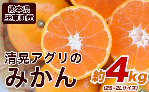 『清晃アグリ』のみかん★約4kg(2S-2Lサイズ) 《11月中旬-12月末頃出荷》予約受付中 フルーツ 秋 旬★熊本県玉名郡玉東町 健康な土で育つジューシーおいしいみかん！