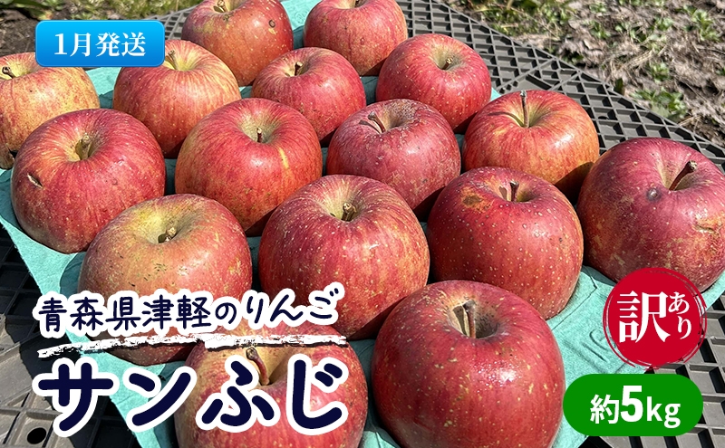 
            【1月発送】【訳あり】青森県津軽のりんご「サンふじ」約5kg【里いちみfarm】
          