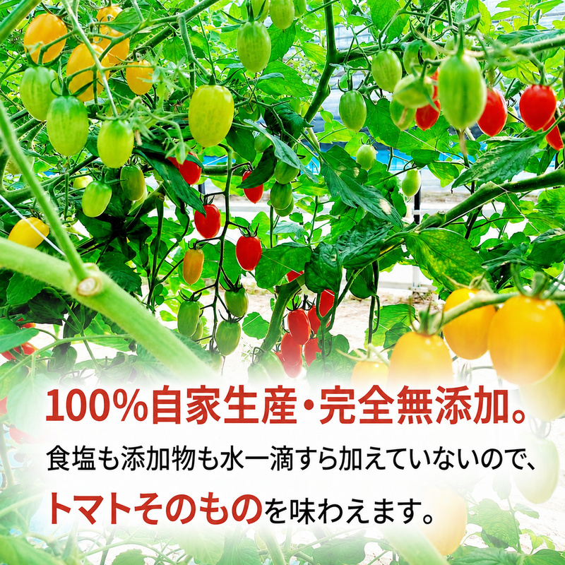 【先行予約】糖度平均9～10度！十勝 幕別産 ミニトマトジュース「自慢のトマトでつくりました。」赤720ml×2本［北海道ホープランド農場］食塩無添加【 トマト ミニトマト 飲料 野菜ジュース リコピン 北海道 十勝 幕別 】
