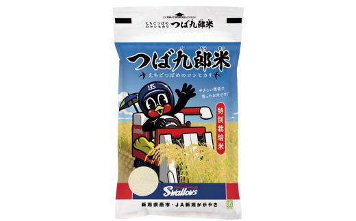 令和8年産 厳選コシヒカリ つば九郎米 白米5kg FC015441 【 コシヒカリ 米 白米 こしひかり 新潟 新潟県産 燕 燕市 燕三条 】