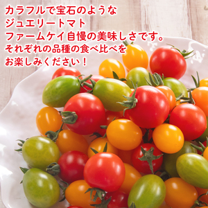 ジュエリー トマト 500g 先行予約 予約