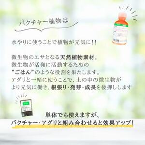 バクチャー植物【植物の栄養材】【1691055】