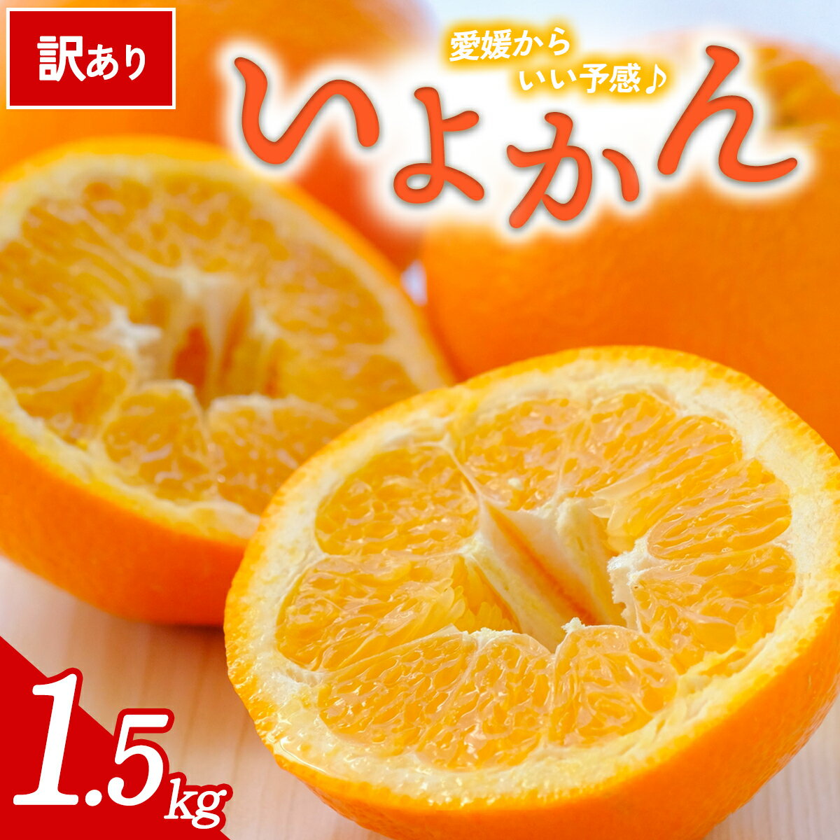 【ふるさと納税】【先行予約】＜訳あり 愛媛県産 いよかん 合計約1.5kg＞ 『2027年1月以降順次出荷予定』 みかん フレッシュ ご家庭用 ご自宅 伊予柑 果肉 お試し 果物 柑橘 フルーツ オレンジ 国産 濃厚 果汁 産地直送 ミヤモトオレンジガーデン 愛媛県 西予市【常温】