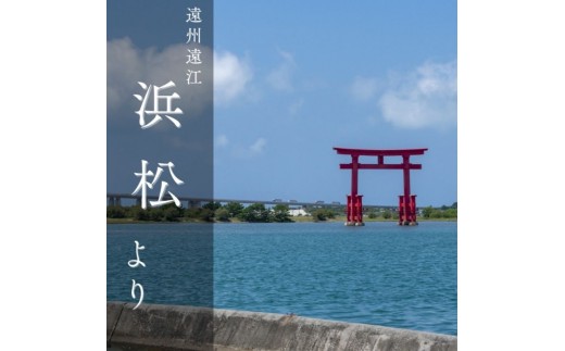 鰻 江戸蒸蒲焼（国産）約110g×2パック たれ・山椒付き うなぎ藤田 うなぎ ウナギ 国産うなぎ うなぎの蒲焼 国産うなぎ蒲焼  土用の丑の日 丑の日 静岡 浜松市 【配送不可：離島】