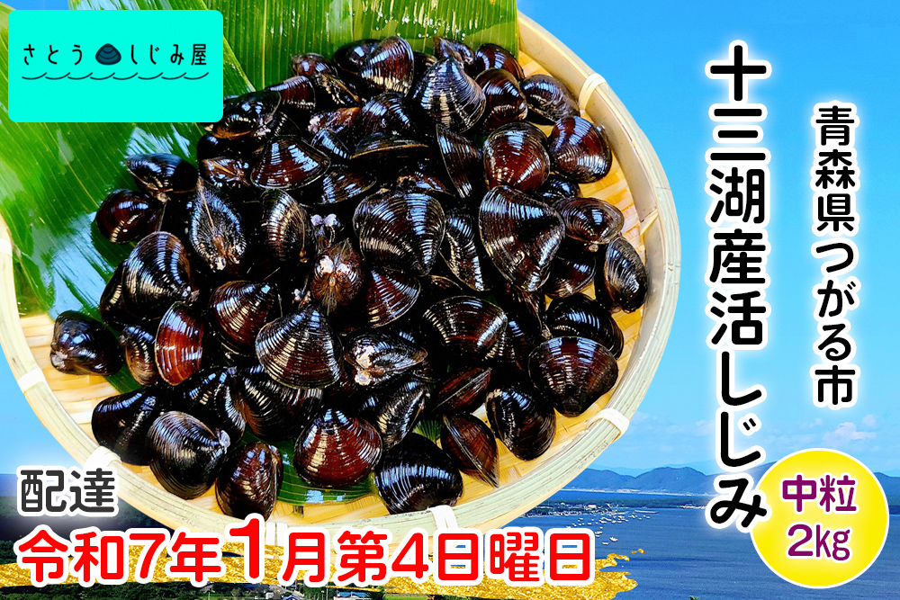 [令和7年1月第4日曜日配達] さとうしじみ屋の十三湖産活しじみ(中粒2kg)[冷蔵]｜十三湖産 青森 津軽 つがる しじみ みそ汁 味噌汁 しじみ汁 活しじみ 冷蔵 [0586]