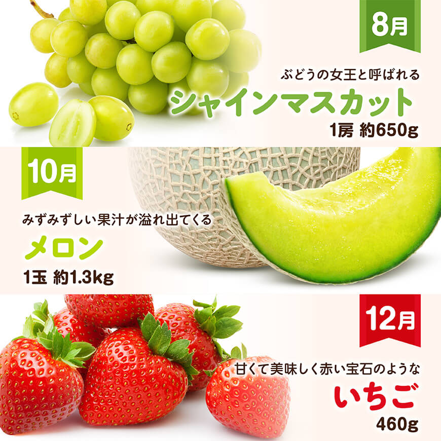 【全6回定期便】デラックス定期便【偶数月】　川南町産フルーツきんかんくだものフルーツいちごくだものフルーツ完熟マンゴー果物フルーツぶどうフルーツシャインマスカット果物フルーツメロンフルーツ[D1170