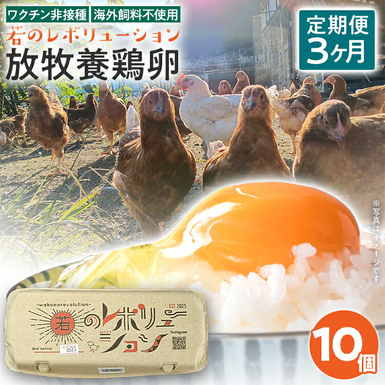 【ふるさと納税】卵 定期便 3回 放牧養鶏卵 10個 「破損補償2個含」 3ヶ月間 若のレボリューション たまご 鶏卵 生卵 卵かけご飯 TKG 国産 ワクチン非接種 海外飼料不使用 発酵飼料 新鮮 お取り寄せ グルメ 贅沢 福岡 ※北海道・沖縄・離島は配送不可