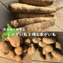 【ふるさと納税】 じゃがいも2種+ながいも 計10kgセット　北海道十勝帯広産【1497187】