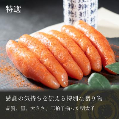 ふるさと納税 下関市 特選 明太子 500g 冷凍 DT113-1 |  | 01